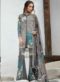 Amazing Beige Net Designer Salwar Suit