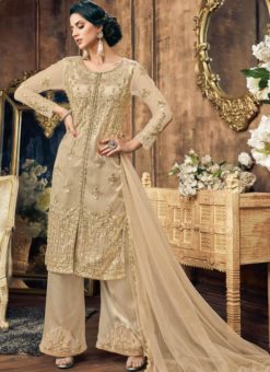 Beige Net Embroidered Work Designer Pakistani Suit