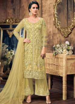 Yellow Net Embroidered Work Designer Pakistani Suit