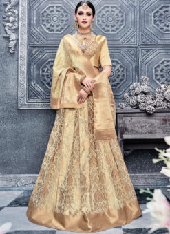 Gold Heavy Designer Bridal Banarasi Silk Lehenga Choli