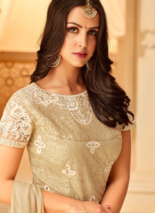 Gold Net Embroidered Party Wear Staraight Cut Suit