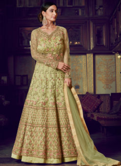Light Green Net Resham Work Floor Length Designer Anarkali Suit