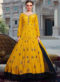 Georgette Embroidered Work Front & Back Rani Designer Gown