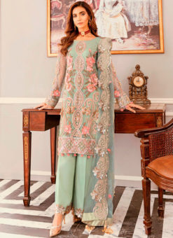 Amazing Green Net Embroidered Work Designer Pakistani Suit