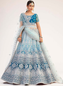 Blue Butterfly Net Designer Embroidered Work Wedding Lehenga Choli