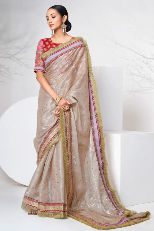 Alluring Fancy Fabric Chikoo Color Function Look Saree