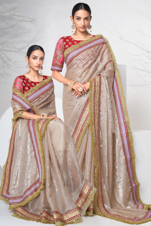 Alluring Fancy Fabric Chikoo Color Function Look Saree