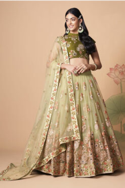 Dazzling Sangeet Wear Beige Color Lehenga Choli In Net Fabric