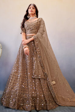 Sequins Work On Net Fabric Bewitching Lehenga Choli In Chikoo Color
