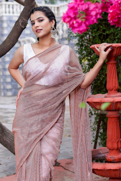 Chikoo Fetching Fancy Fabric Saree